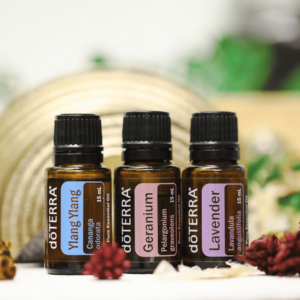 This image shows three small brown bottles with black caps, each labeled with the doTERRA brand, a popular choice for aromatherapy sessions like those in Burnaby. The bottles are neatly lined up, and they contain different essential oils: Ylang Ylang, Geranium, and Lavender, as indicated by the clear white text on the labels. The background features a soft, blurred pattern, and the bottles stand out sharply against it. There are hints of greenery and what appear to be dried flowers around, adding to the natural essence of the photo. The setup suggests these oils are for creating a calming and aromatic environment, ideal for massage and relaxation.